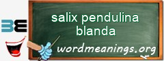 WordMeaning blackboard for salix pendulina blanda